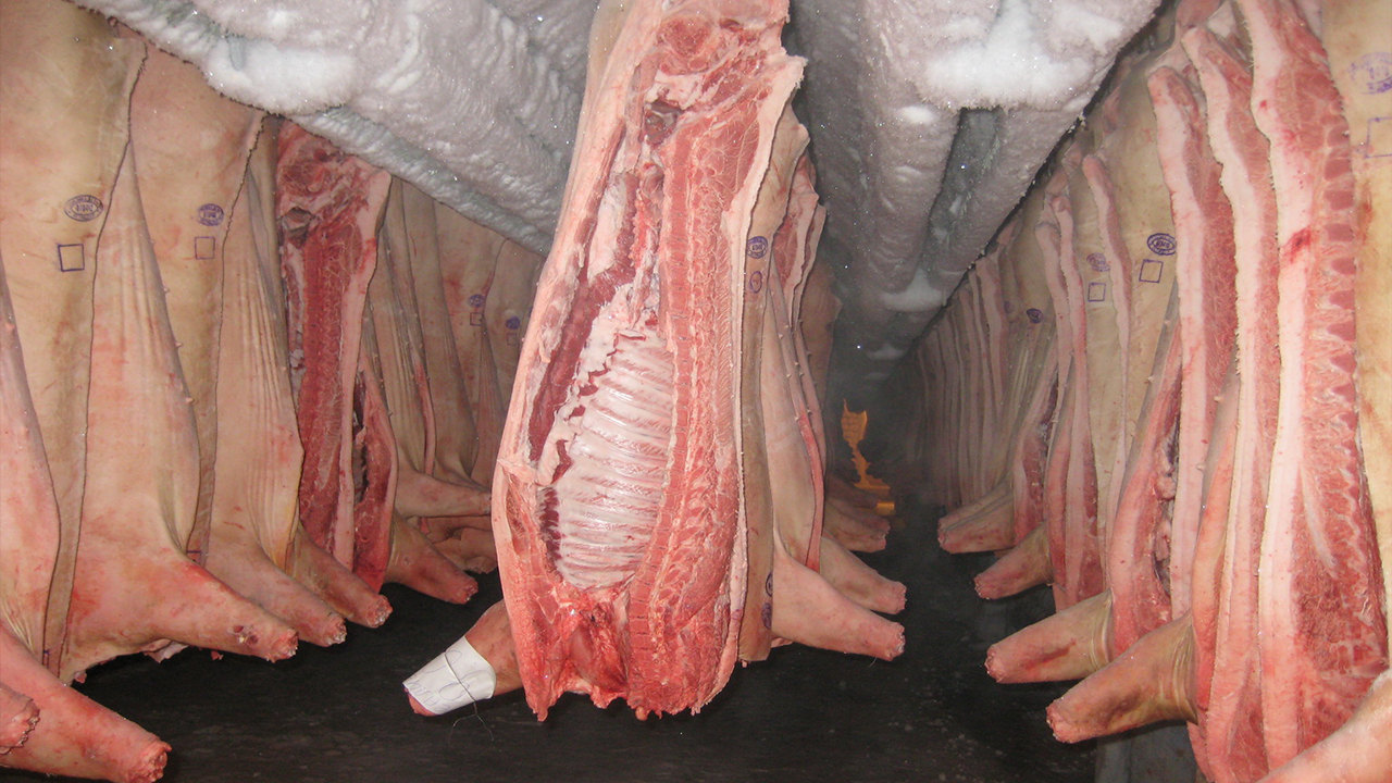 Meat.jpg Meat.jpg
