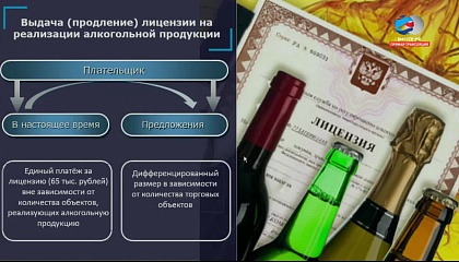 Расширенное заседание Комитета СФ по бюджету и финансовым рынкам. Запись трансляции от 11.02.2019