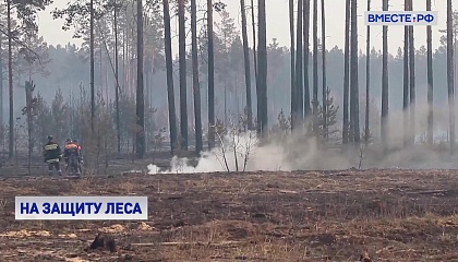 Борьба с лесными пожарами: законодатели готовы рассмотреть конкретные предложения