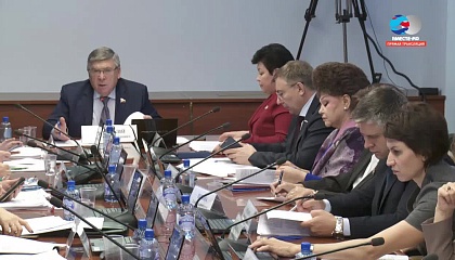 Заседание комитета СФ по социальной политике. Запись трансляции от 28 ноября 2017 года