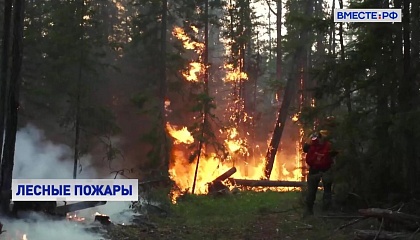 За последние сутки в России вдвое увеличилась площадь лесных пожаров