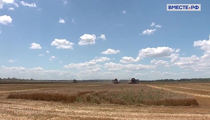Урожай зерна в этом году будет одним из лучших в истории России