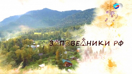 Тайны Алтайского заповедника. Маралий кодекс 